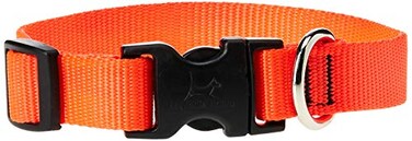 LupinePet Basics 34 Blaze Orange 914 Adjustable Collar for Small Dogs