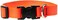 LupinePet Basics 34 Blaze Orange 914 Adjustable Collar for Small Dogs