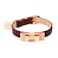 Pet Perfect Luxury Italian Leather Dog Collar With Bow Stylish Durable Comfortable for Small Medium Large XLarge Dogs XLarge