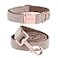 ARING PET Dog Collar and Leash Velvet Dog Collar and Leash Set Soft Comfy Adjustable Collars for Dogs