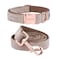 ARING PET Dog Collar and Leash Velvet Dog Collar and Leash Set Soft Comfy Adjustable Collars for Dogs
