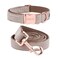 ARING PET Dog Collar and Leash Velvet Dog Collar and Leash Set Soft Comfy Adjustable Collars for Dogs