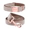 ARING PET Dog Collar and Leash Velvet Dog Collar and Leash Set Soft Comfy Adjustable Collars for Dogs