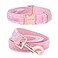 ARING PET Dog Collar and Leash Velvet Dog Collar and Leash Set Soft Comfy Adjustable Collars for Dogs