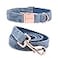 ARING PET Dog Collar and Leash Velvet Dog Collar and Leash Set Soft Comfy Adjustable Collars for Dogs