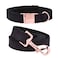 ARING PET Dog Collar and Leash Velvet Dog Collar and Leash Set Soft Comfy Adjustable Collars for Dogs