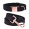 ARING PET Dog Collar and Leash Velvet Dog Collar and Leash Set Soft Comfy Adjustable Collars for Dogs