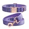 ARING PET Velvet Dog Collar and Leash Set Soft Purple Dog Collar and Leash Adjustable Collars for Dogs