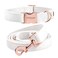 ARING PET Dog Collar and Leash Set Soft White Velvet Dog Collar and Leash Adjustable Collars for Dogs