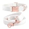 ARING PET Dog Collar and Leash Set Soft White Velvet Dog Collar and Leash Adjustable Collars for Dogs