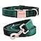 ARING PET Velvet Dog Collar and Leash Set Soft Dog Collar and Leash Adjustable Collars for Dogs