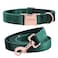 ARING PET Velvet Dog Collar and Leash Set Soft Dog Collar and Leash Adjustable Collars for Dogs