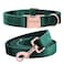ARING PET Velvet Dog Collar and Leash Set Soft Dog Collar and Leash Adjustable Collars for Dogs