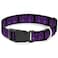 Buckle-Down BuckleDown Bd Skulls with Wings BlackPurple Plastic Clip Collar 1 WideFits 1117 NeckMedium