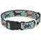 Buckle-Down BuckleDown Dachshund 4DogsPaws Aquas Plastic Clip Collar 1 WideFits 1117 NeckMedium