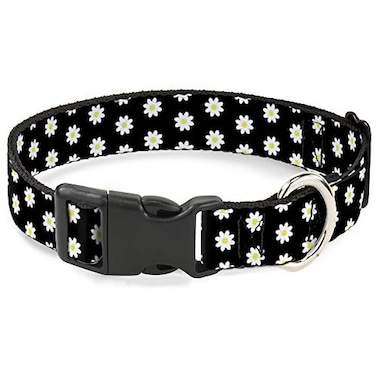 Buckle-Down Dog Collar Plastic Clip Daisies Scattered Black White Yellow 11 to 17 Inches 10 Inch Wide
