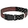 Buckle-Down BuckleDown Plastic Clip Collar Vintage US Flag Stretch 15 Wide Fits 1623 Neck Medium