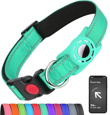 Erbine AirTag Dog Collar with AirTag Holder Compatible for Air Tag Reflective Soft Padded Safety Locking Buckle Adjustable Nylon for Small Medium Large Dogs TealS