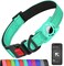 Erbine AirTag Dog Collar with AirTag Holder Compatible for Air Tag Reflective Soft Padded Safety Locking Buckle Adjustable Nylon for Small Medium Large Dogs TealL
