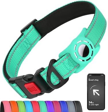 Erbine AirTag Dog Collar with AirTag Holder Compatible for Air Tag Reflective Soft Padded Safety Locking Buckle Adjustable Nylon for Small Medium Large Dogs TealM