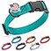 Dogline Biothane Waterproof Dog Collar with Quick Release Buckle Strong Coated Nylon Webbing with Odor Proof for Easy Care Easy to Clean Fits Small Medium or Large Dogs Teal 1 W 1523 L