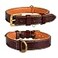 DowgClub Genuine Leather Dog Collar 1 Wide Full Grain Padded Heavy Duty with Brass Buckle for Small Medium Large XL Dogs Medium Fit Neck Size 145185 Brown