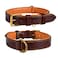DowgClub Genuine Leather Dog Collar 1 Wide Full Grain Padded Heavy Duty with Brass Buckle for Small Medium Large XL Dogs Medium Fit Neck Size 145185 Brown