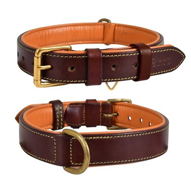 DowgClub Genuine Leather Dog Collar 1 Wide Full Grain Padded Heavy Duty with Brass Buckle for Small Medium Large XL Dogs Medium Fit Neck Size 145185 Brown