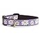 Up Country Daisy Pattern Daisy Dog Collar Medium 12 to 18 inches 1 inch Wide Width