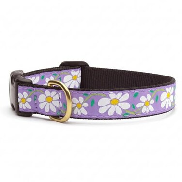 Up Country Daisy Pattern Daisy Dog Collar Medium 12 to 18 inches 1 inch Wide Width