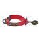 OllyDog Tilden Collar Waterproof Dog Collar with Quick Release Buckle Coated StinkProof Webbing Lightweight Collar for Large Medium and Small Dogs Small Red