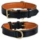DowgClub Leather Dog Collar for Medium Dogs Black 1 Inch Wide Genuine Full Grain Leather Heavy Duty with Soft Inner Padding Comfortable and Durable Medium Fit Neck Size 145185 Black