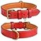 DowgClub Leather Dog Collar for Medium Dogs Red 1 Inch Wide Genuine Full Grain Leather Heavy Duty with Soft Inner Padding Comfortable and Durable Medium Fit Neck Size 145185 Red