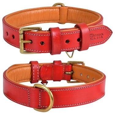 DowgClub Leather Dog Collar for Medium Dogs Red 1 Inch Wide Genuine Full Grain Leather Heavy Duty with Soft Inner Padding Comfortable and Durable Medium Fit Neck Size 145185 Red