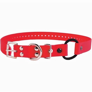 Educator Bungee Dog Collar Biothane Waterproof Odorproof Metal Buckle and D Ring with Comfort Bungee Loop Adjustable for Custom Fit 34Inch Red