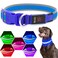 Flashseen LED Dog Collar Light Up Dog Collar USB Rechargeable Brightest Dog Lights for Night Walking Adjustable Dog Collar Light for Dog Safety Blue Medium