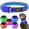 Flashseen LED Dog Collar Light Up Dog Collar USB Rechargeable Brightest Dog Lights for Night Walking Adjustable Dog Collar Light for Dog Safety Blue Medium