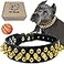 TEEMERRYCA Black Leather Dog Collar with Gold Spikes for Small Medium Large PetsPit BullsBulldog Keep Dog Safe from Grabbing by Huge DogsXXL197224