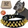 TEEMERRYCA Black Leather Dog Collar with Gold Spikes for Small Medium Large PetsPit BullsBulldog Keep Dog Safe from Grabbing by Huge DogsXXL197224