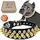 TEEMERRYCA Black Leather Dog Collar with Gold Spikes for Small Medium Large PetsPit BullsBulldog Keep Dog Safe from Grabbing by Huge DogsXL177205