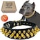 TEEMERRYCA Black Leather Dog Collar with Gold Spikes for Small Medium Large PetsPit BullsBulldog Keep Dog Safe from Grabbing by Huge DogsXL177205