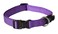 Rogz Reflective Dog Collar for Large Dogs Adjustable from 1322 inches Purple