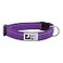 RC Pet Products 34 Primary Collection Adjustable Dog Collar Small Purple