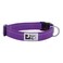 RC Pet Products 34 Primary Collection Adjustable Dog Collar Small Purple