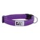 RC Pet Products 34 Primary Collection Adjustable Dog Collar Small Purple
