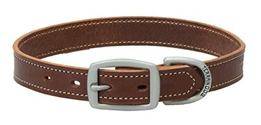 Terrain D.O.G. Terrain DOG Bridle Leather Dog Collar Brown 1 x 21