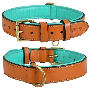 DowgClub Leather Dog Collar for Medium Dogs Tan 1 Inch Wide Genuine Full Grain Leather Heavy Duty with Soft Inner Padding Comfortable and Durable Medium Fit Neck Size 145185 Tan