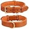 DowgClub Leather Dog Collar for Medium Dogs Orange 1 Inch Wide Genuine Leather Heavy Duty with Soft Inner Padding Comfortable and Durable Medium Fit Neck Size 145185 Tangerine Orange