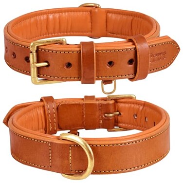DowgClub Leather Dog Collar for Medium Dogs Orange 1 Inch Wide Genuine Leather Heavy Duty with Soft Inner Padding Comfortable and Durable Medium Fit Neck Size 145185 Tangerine Orange