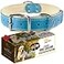 ADITYNA HeavyDuty Blue Leather Dog Collar for ExtraLarge Dogs Soft Padded for Comfort XL Dog Collar for Walking Training and Hiking
